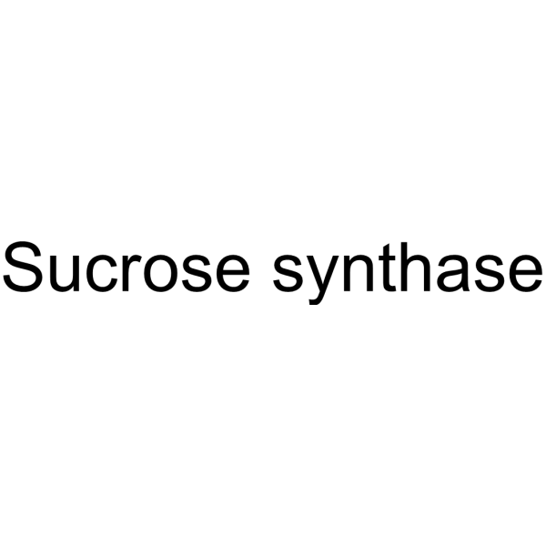 Sucrose synthase 9030-05-1